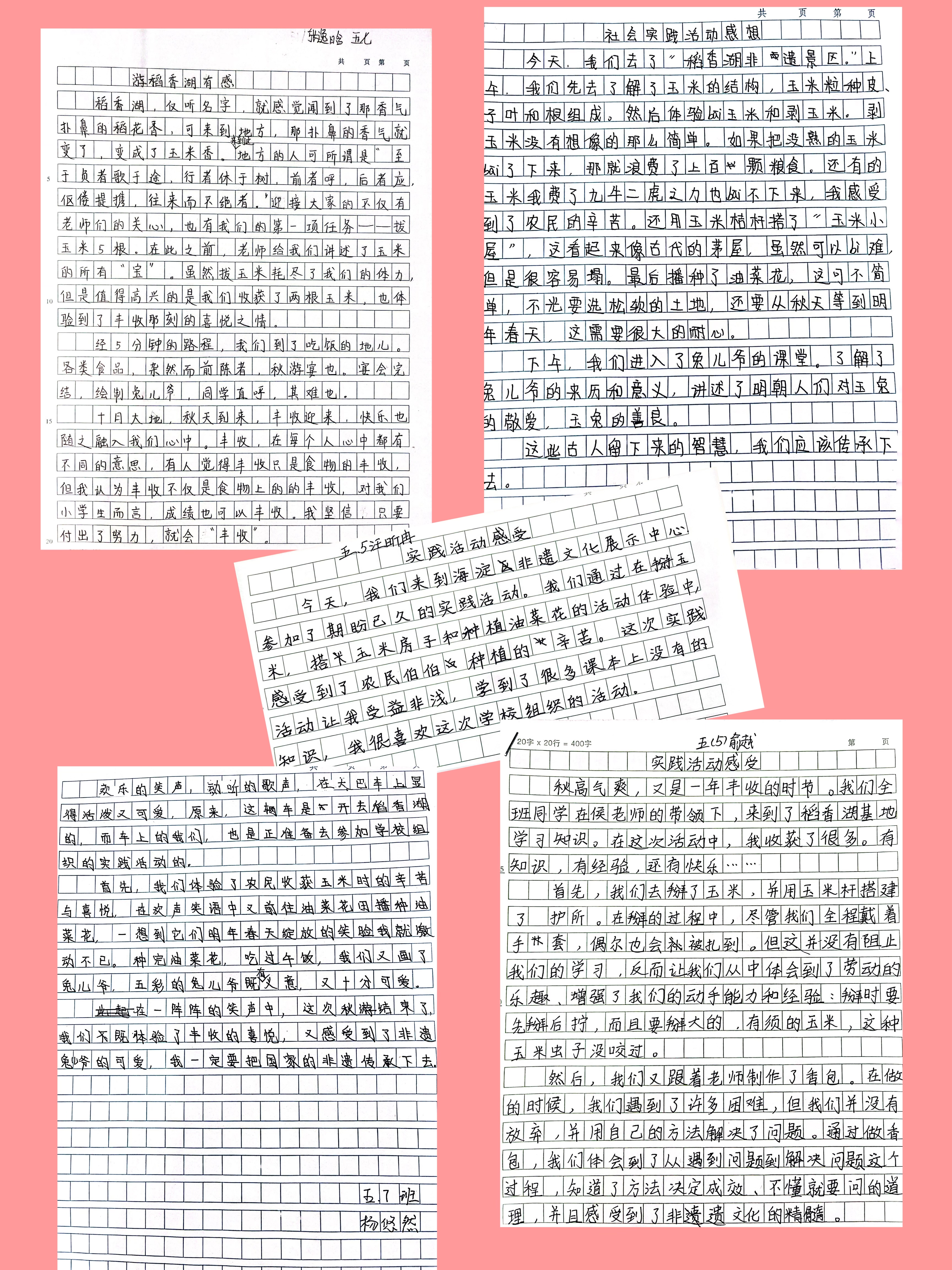 1697599533277026564.jpg
